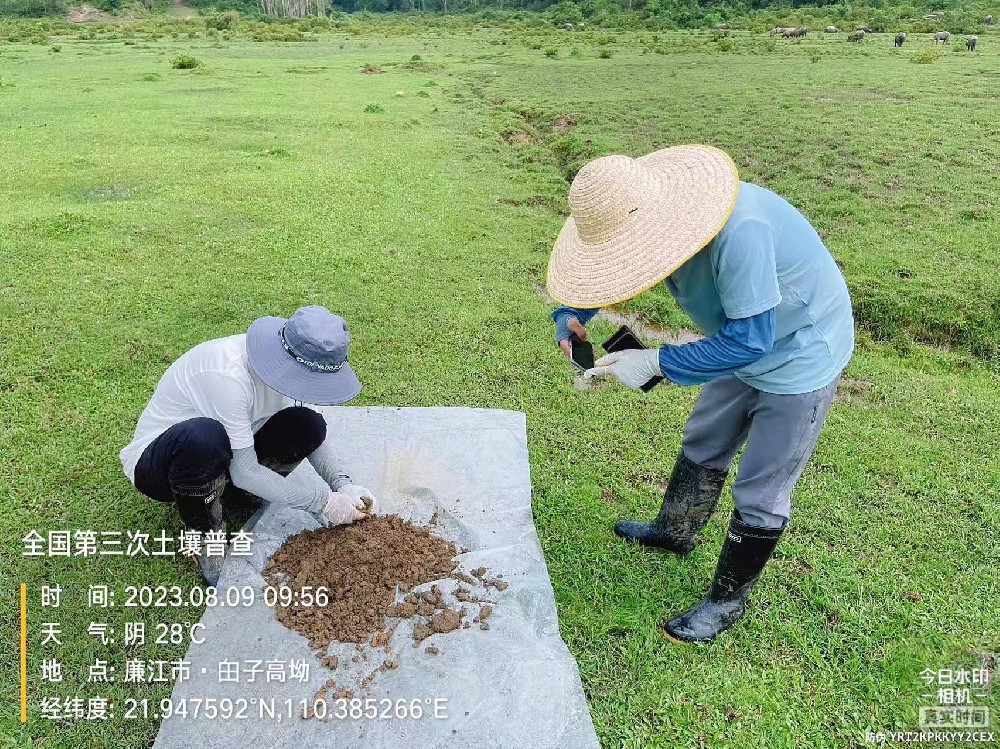 天鑒檢測(cè)承擔(dān)茂名市電白區(qū)第三次全國(guó)土壤普查內(nèi)業(yè)檢測(cè)任務(wù)